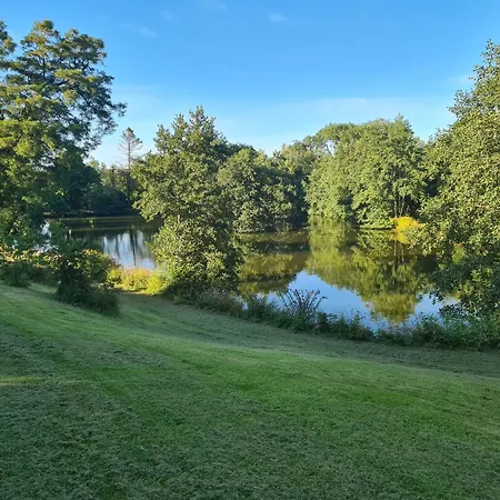 Robin Cottage Sleeps 2 Dog Friendly Cottage 40 Acres Of Grounds And Woodlands Fishing Lake Swimming Pool Llanboidy Exterior photo