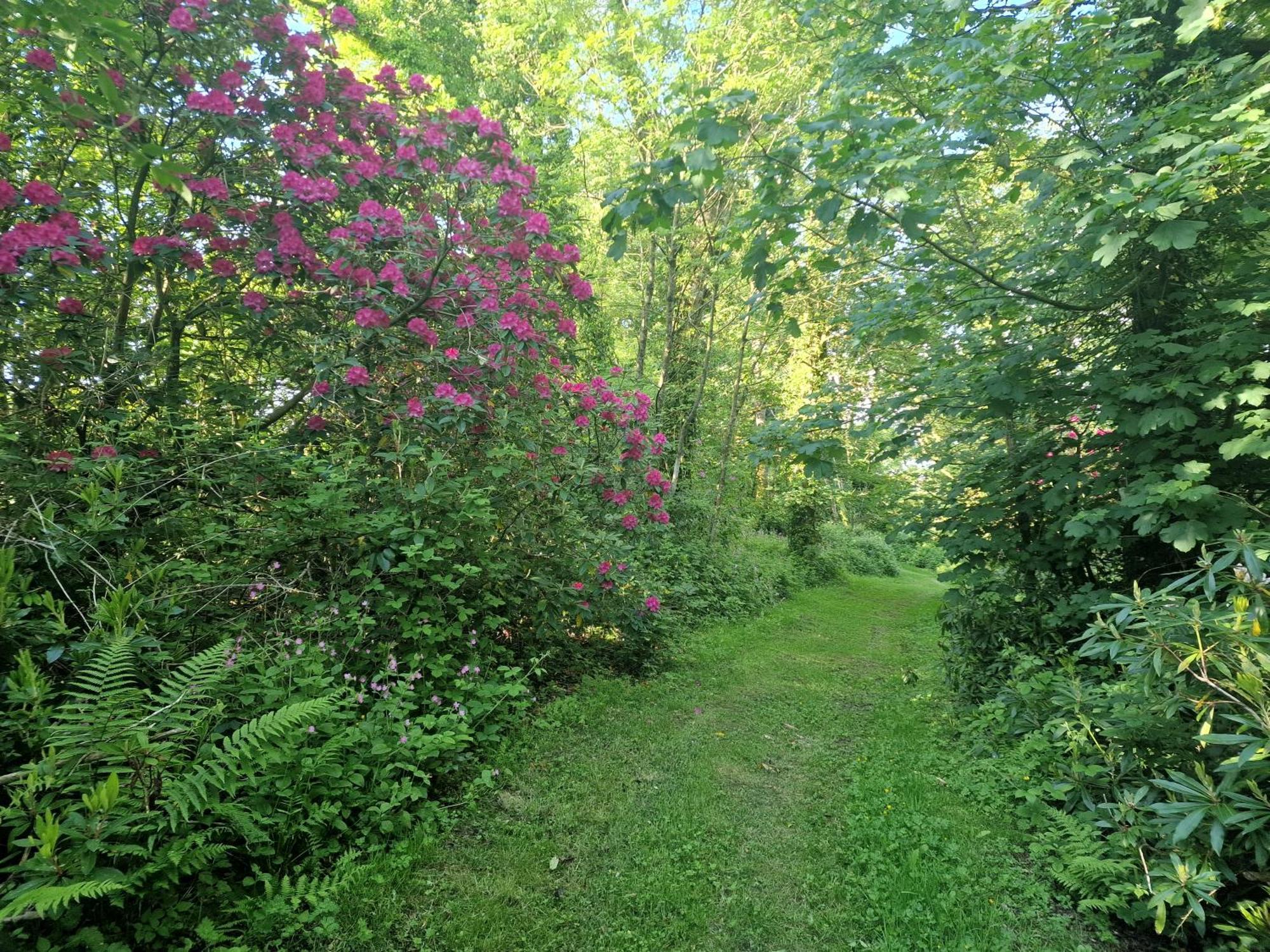 Robin Sleeps 2 Dog Friendly 40 Acres Of Grounds And Woodlands Fishing Swimming Pool Apartment