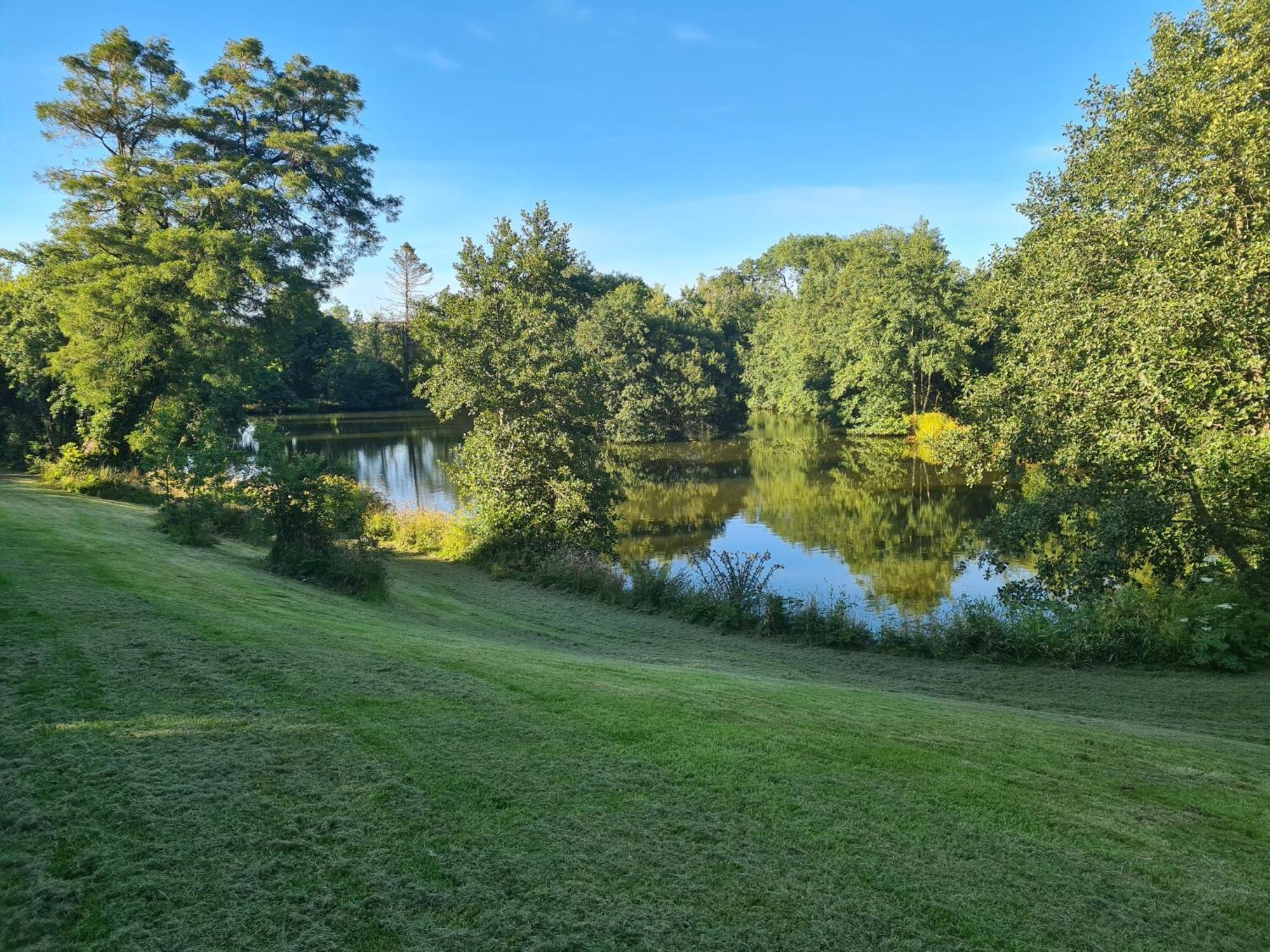 Robin Sleeps 2 Dog Friendly 40 Acres Of Grounds And Woodlands Fishing Swimming Pool * Llanboidy